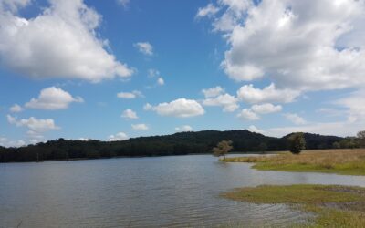 Parque Nacional Kaudulla