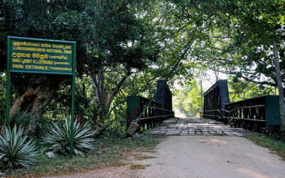 Parque Nacional Lunugamvehera