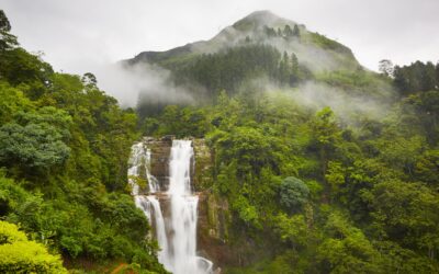 Nuwara Eliya