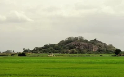 Ruinas del monasterio de Mullikulamalai