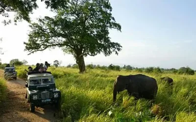 Parque Nacional de Wasgamuwa