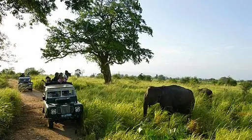 Parque Nacional de Wasgamuwa